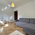 Rent 3 bedroom apartment of 100 m² in Kraków