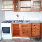 Rent 1 bedroom apartment in Libesice