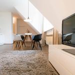 Rent 2 bedroom apartment of 50 m² in Wien