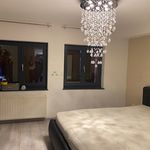 Rent 4 bedroom house of 105 m² in Buschwiller