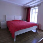 Rent 1 bedroom apartment in lodz