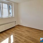 Rent 3 bedroom apartment of 84 m² in Gallneukirchen
