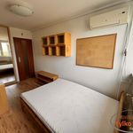 Rent 2 bedroom apartment of 39 m² in Poznań