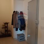 Rent 3 bedroom apartment of 93 m² in Tremestieri Etneo