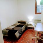 Rent 20 bedroom house in Cerdanyola del Vallès