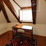 Rent 3 bedroom apartment of 221 m² in Praha