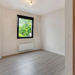 Rent 3 bedroom house of 156 m² in Moorslede
