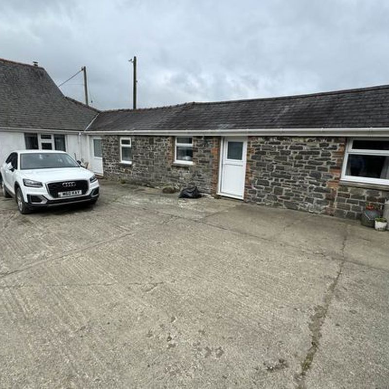 Semi-detached bungalow to rent in The Annexe, Tynewydd Brynog, Felinfach SA48