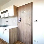 Rent 2 bedroom apartment of 47 m² in Český Brod