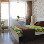 Rent 2 bedroom apartment of 61 m² in Číhošť