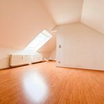 Rent 1 bedroom apartment of 91 m² in Chemnitz