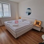 Rent 2 bedroom apartment of 68 m² in Plesná