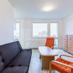 Rent 1 bedroom apartment of 28 m² in Slaný