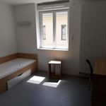 Rent 1 bedroom apartment of 21 m² in Oyonnax