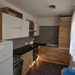 Rent 1 bedroom apartment of 52 m² in Teplice