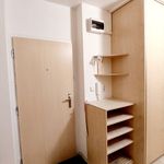 Rent 2 bedroom apartment of 38 m² in Ostrava