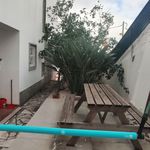 Rent 12 bedroom house in Parede