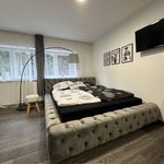 Rent 1 bedroom apartment of 223 m² in Rokytnice nad Jizerou