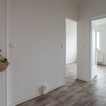 Miete 2 Schlafzimmer wohnung von 47 m² in Schönebeck