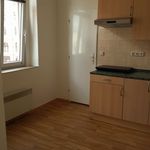 Rent 1 bedroom apartment of 45 m² in Liberec