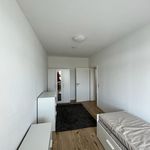 Rent 3 bedroom apartment of 68 m² in Schkeuditz
