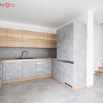 Rent 4 bedroom apartment of 120 m² in Plzeň