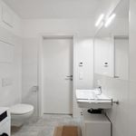 Rent 3 bedroom apartment in Graz