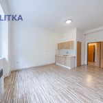 Rent 1 bedroom apartment of 28 m² in Lipník nad Bečvou