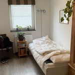 Rent 2 bedroom apartment of 131 m² in Pelt