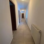 Rent 10 bedroom house of 120 m² in Gryfino