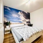 Wynajmij 3 sypialnię apartament z 58 m² w Katowice