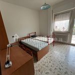 Rent 3 bedroom apartment of 100 m² in Chieti