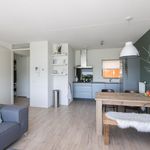 Rent 2 bedroom apartment of 63 m² in Groningen