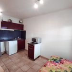 Rent 1 bedroom apartment of 14 m² in Millau