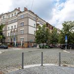 Rent 3 bedroom apartment of 140 m² in Praha