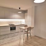 Rent 1 bedroom apartment of 33 m² in Brzesko