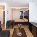 Rent 1 bedroom apartment of 35 m² in Číhošť