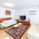 Rent 3 bedroom apartment of 110 m² in Jáchymov