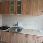 Rent 1 bedroom apartment of 75 m² in Most