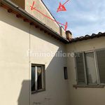Rent 1 bedroom house of 240 m² in Firenze
