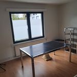 Rent 3 bedroom apartment in Zoersel