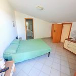 Rent 1 bedroom house of 110 m² in Campofelice di Roccella
