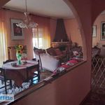 Rent 6 bedroom apartment of 240 m² in Terracina