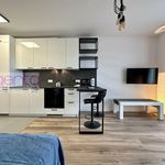 Wynajmij 1 sypialnię apartament z 30 m² w Katowice