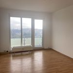 Rent 3 bedroom apartment of 60 m² in Mücheln