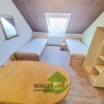 Rent 1 bedroom apartment of 18 m² in Rudolfov