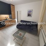 Wynajmij 2 sypialnię apartament z 32 m² w Bydgoszcz