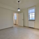 Appartement de 50 m² avec 1 chambre(s) en location à Dendermonde