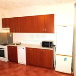 Rent 3 bedroom apartment of 92 m² in Františkovy Lázně
