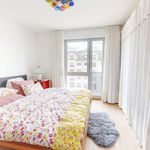 Rent 2 bedroom apartment of 83 m² in München
